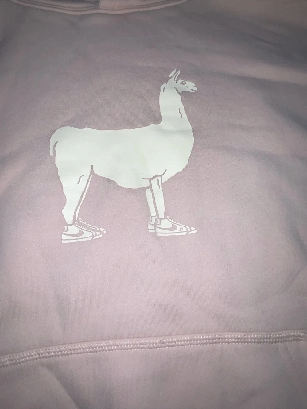 Nike SB Hoodie XL Llama Pullover Casual Skateboard Unisex